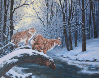 "Bobcats in Snow" by Mary F. Kokoski